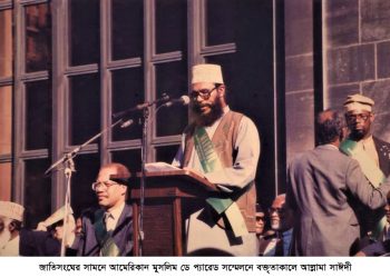 দেশ ভ্রমনে আল্লামা সাঈদী