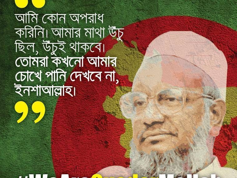 জান্নাতের বাগানে একটি প্রস্ফুটিত গোলাপ শহীদ আব্দুল কাদের মোল্লা
